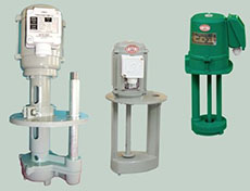 �����͓P����s��